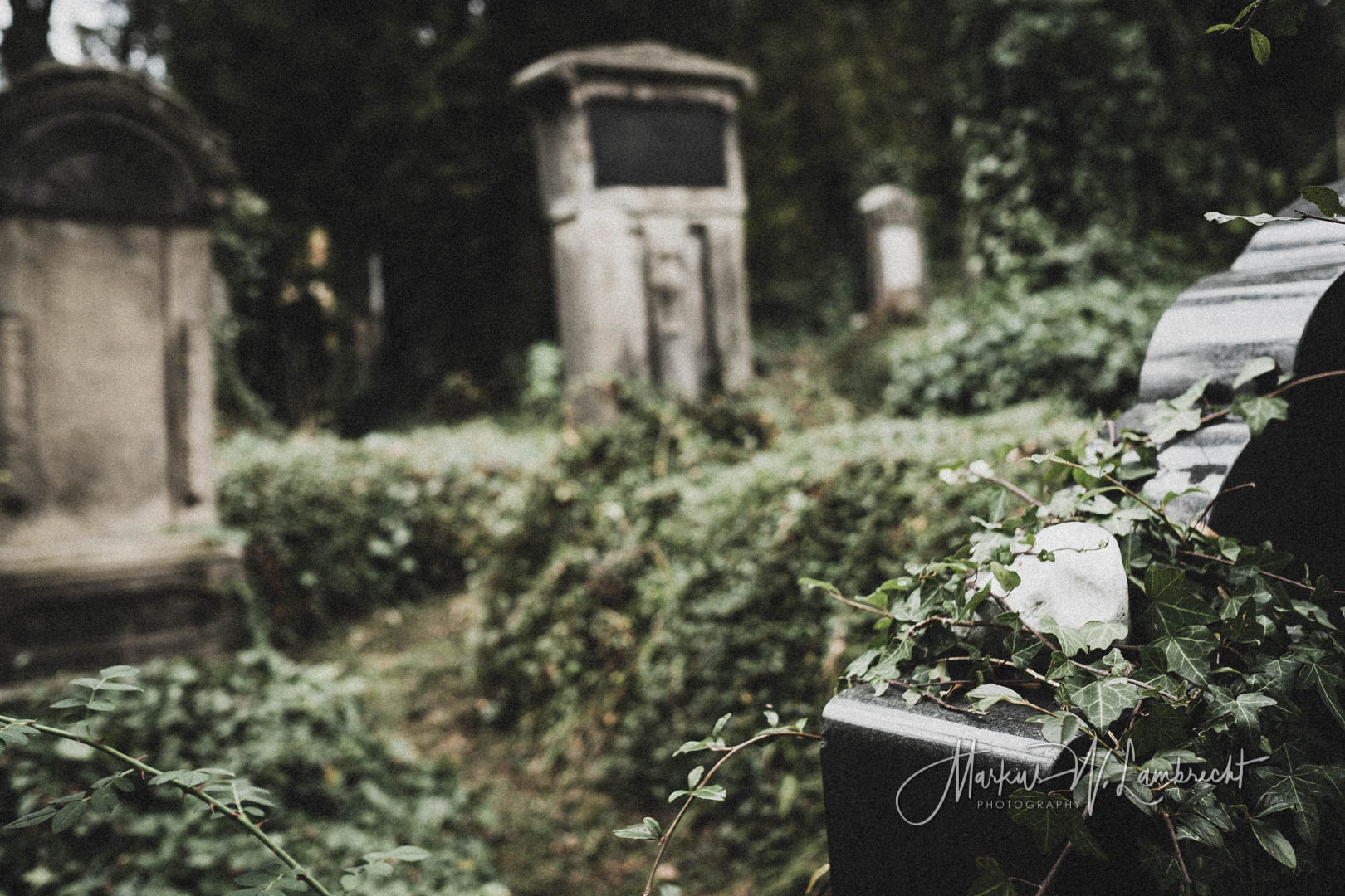 Rimbeck, Jüdischer Friedhof